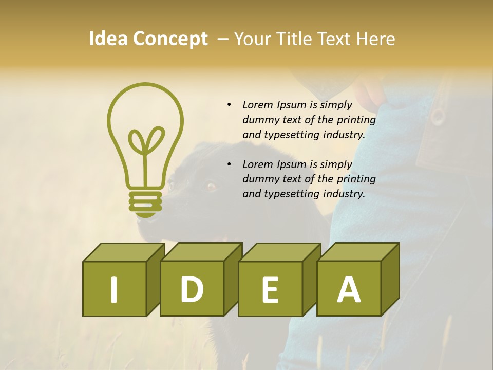 A Person Holding A Black Dog In A Field PowerPoint Template