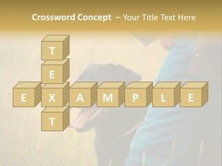 A Person Holding A Black Dog In A Field PowerPoint Template