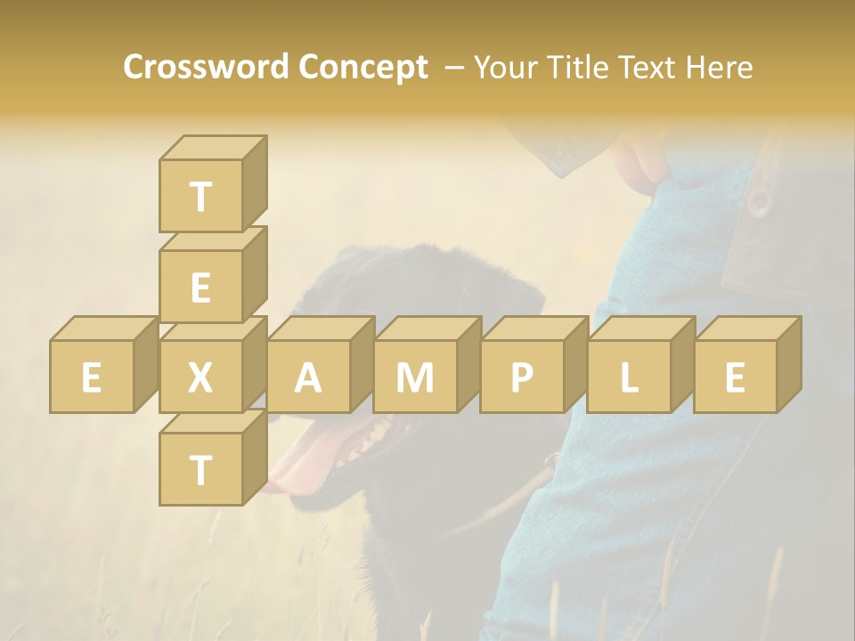 A Person Holding A Black Dog In A Field PowerPoint Template