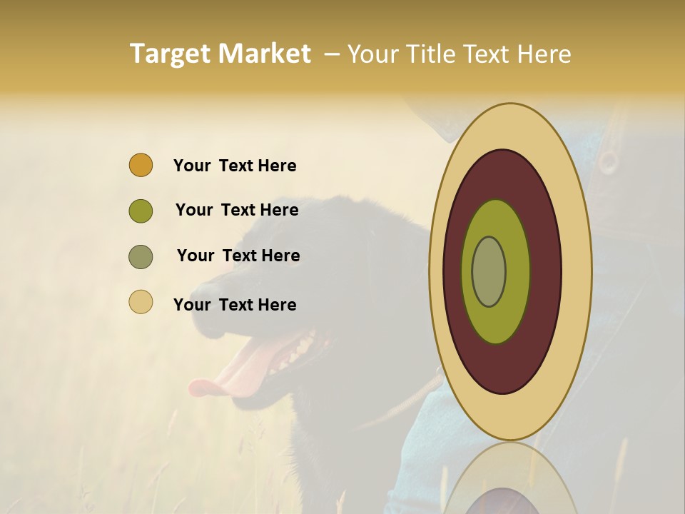 A Person Holding A Black Dog In A Field PowerPoint Template