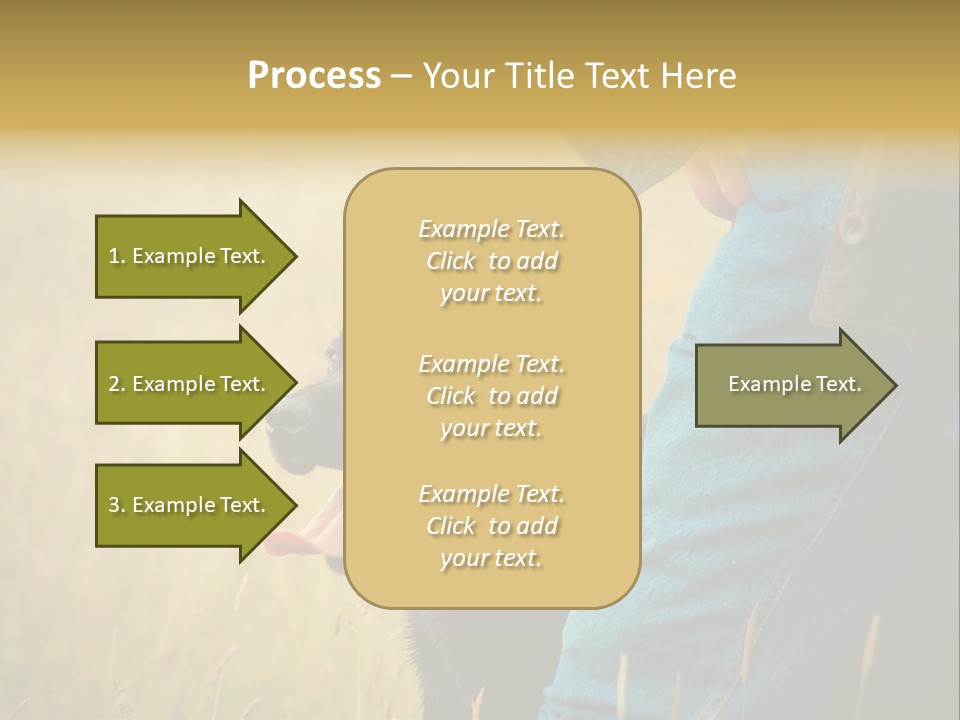 A Person Holding A Black Dog In A Field PowerPoint Template