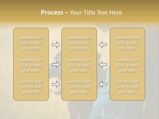 A Person Holding A Black Dog In A Field PowerPoint Template