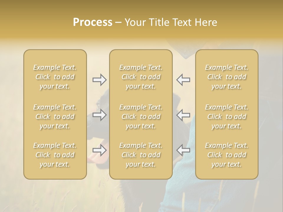 A Person Holding A Black Dog In A Field PowerPoint Template