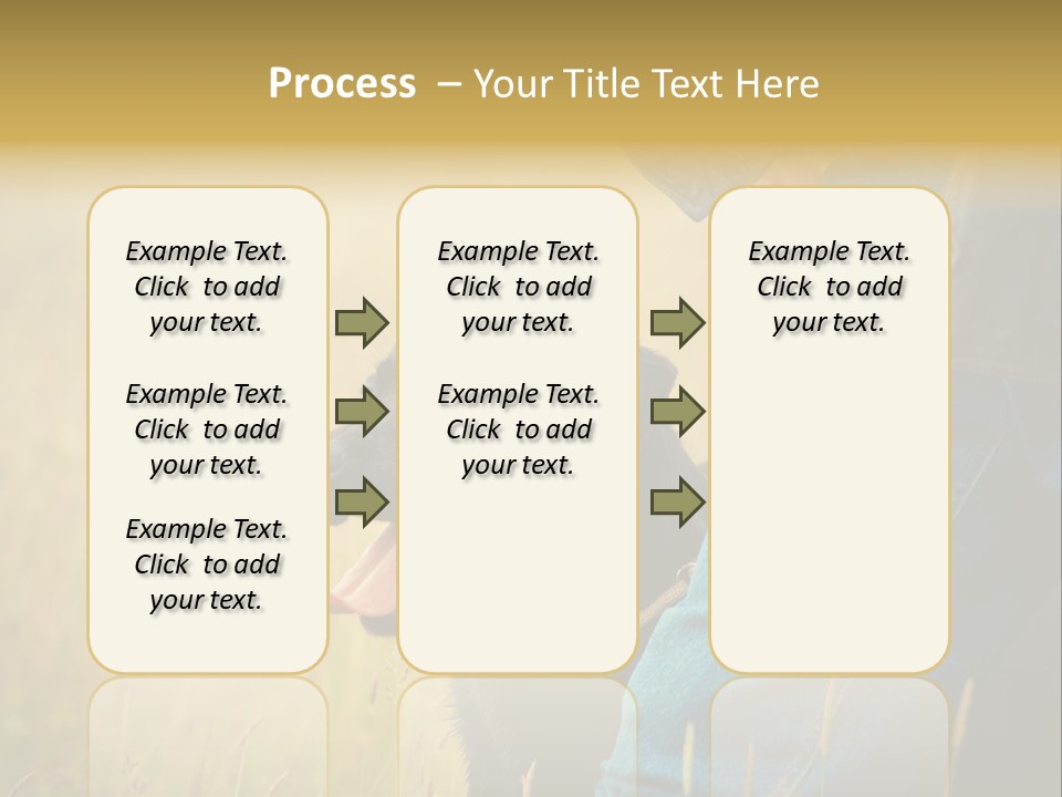 A Person Holding A Black Dog In A Field PowerPoint Template