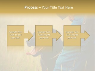 A Person Holding A Black Dog In A Field PowerPoint Template