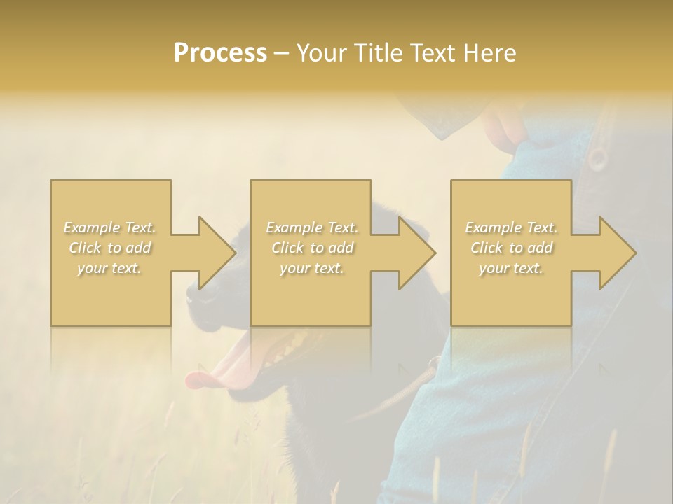 A Person Holding A Black Dog In A Field PowerPoint Template