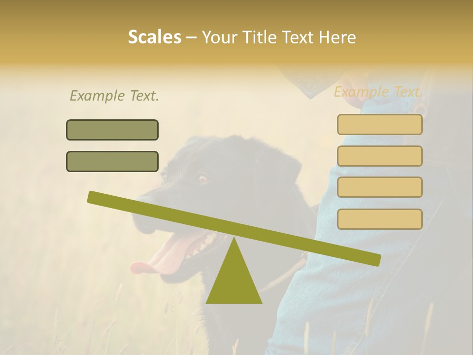 A Person Holding A Black Dog In A Field PowerPoint Template