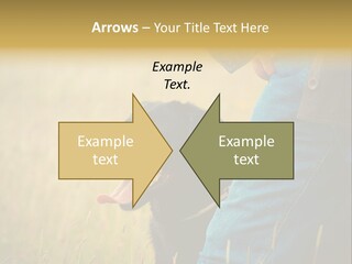 A Person Holding A Black Dog In A Field PowerPoint Template
