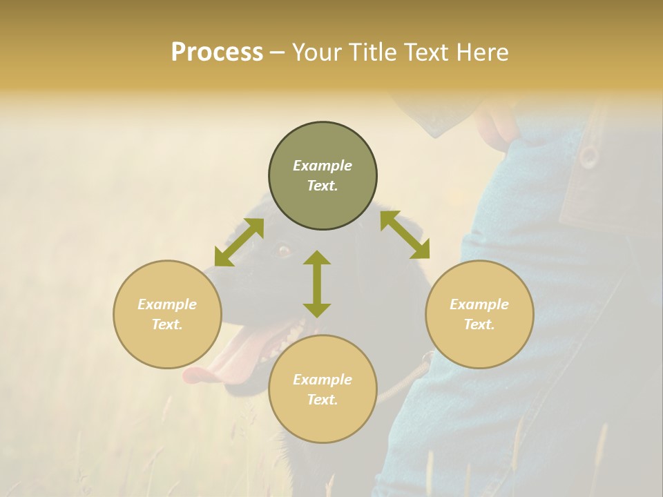 A Person Holding A Black Dog In A Field PowerPoint Template