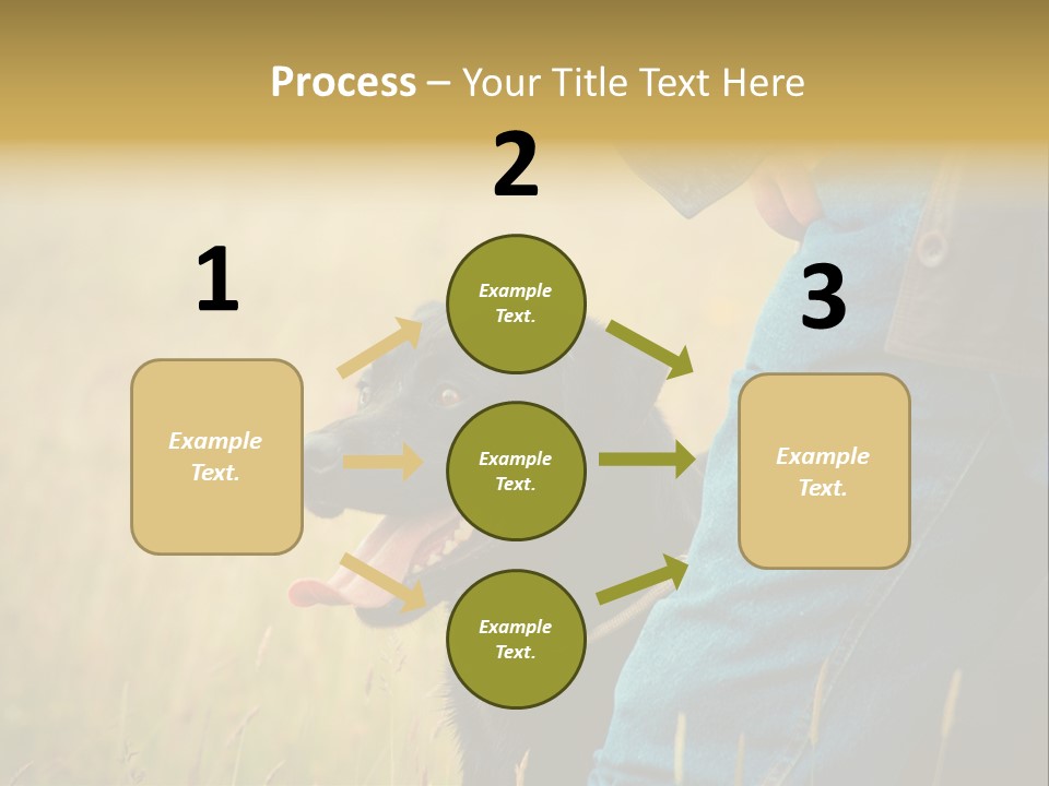 A Person Holding A Black Dog In A Field PowerPoint Template