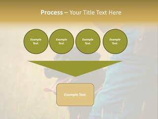 A Person Holding A Black Dog In A Field PowerPoint Template