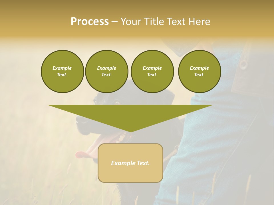 A Person Holding A Black Dog In A Field PowerPoint Template