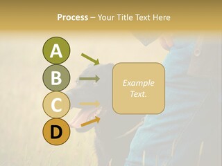 A Person Holding A Black Dog In A Field PowerPoint Template