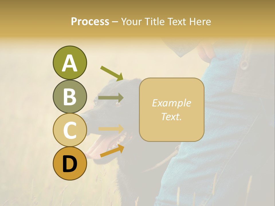 A Person Holding A Black Dog In A Field PowerPoint Template