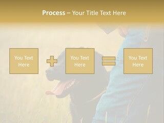 A Person Holding A Black Dog In A Field PowerPoint Template