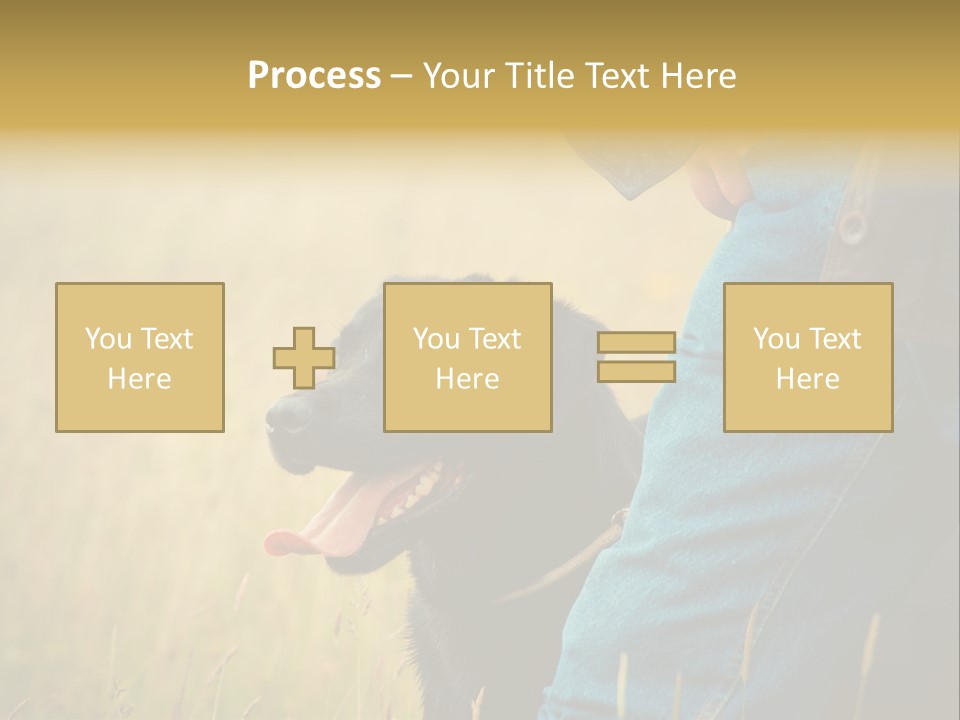 A Person Holding A Black Dog In A Field PowerPoint Template