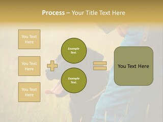 A Person Holding A Black Dog In A Field PowerPoint Template