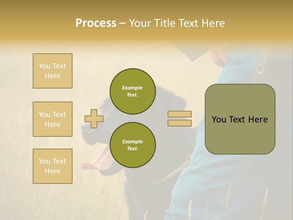 A Person Holding A Black Dog In A Field PowerPoint Template