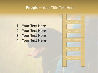 A Person Holding A Black Dog In A Field PowerPoint Template