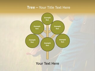 A Person Holding A Black Dog In A Field PowerPoint Template