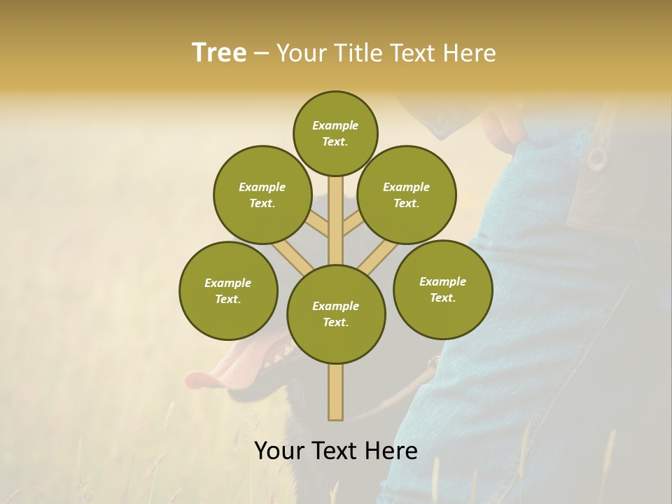 A Person Holding A Black Dog In A Field PowerPoint Template