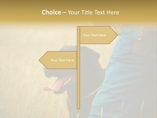 A Person Holding A Black Dog In A Field PowerPoint Template