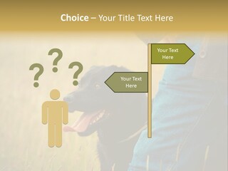 A Person Holding A Black Dog In A Field PowerPoint Template