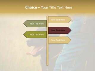 A Person Holding A Black Dog In A Field PowerPoint Template