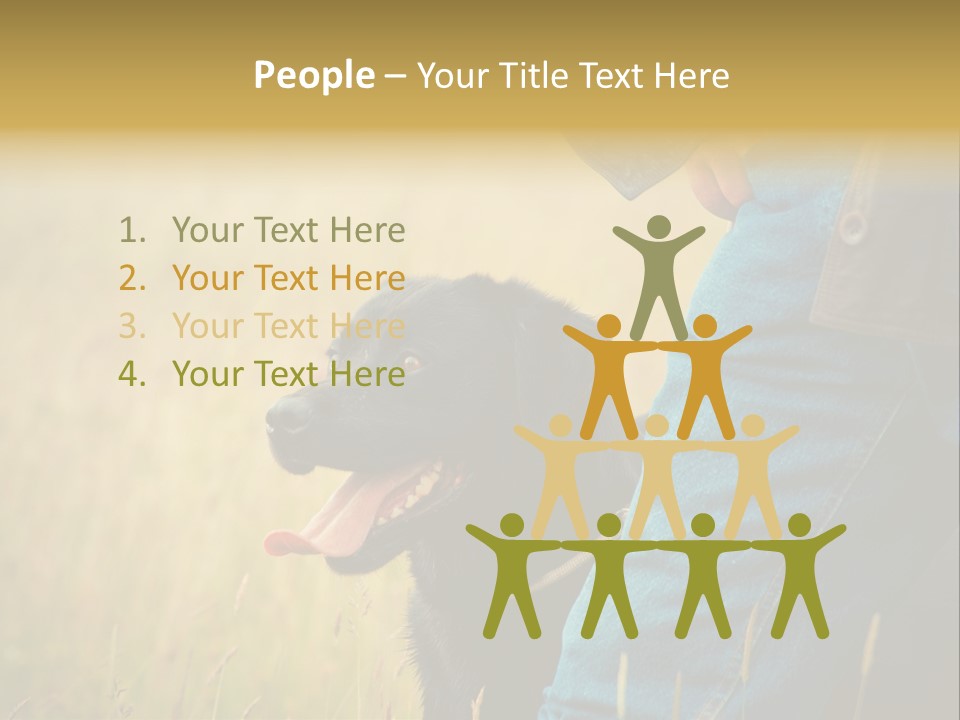A Person Holding A Black Dog In A Field PowerPoint Template