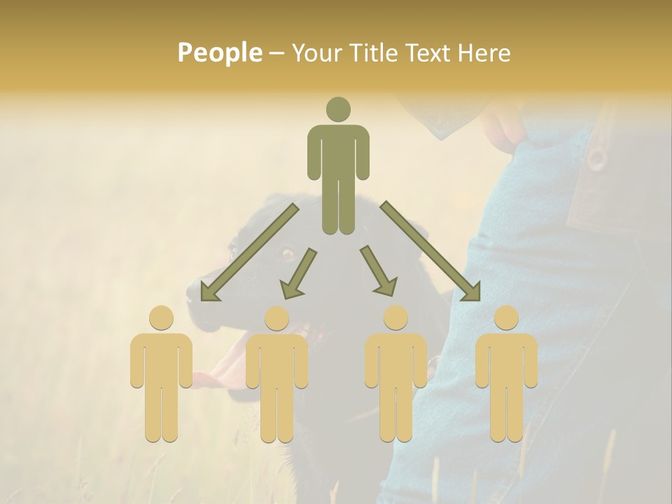 A Person Holding A Black Dog In A Field PowerPoint Template