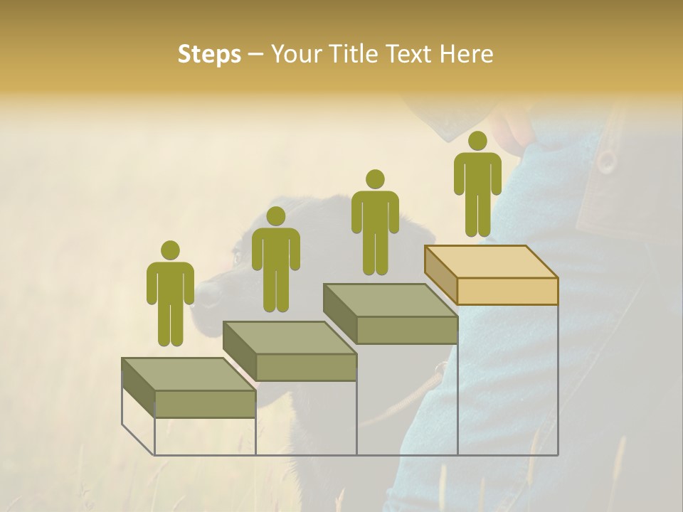 A Person Holding A Black Dog In A Field PowerPoint Template