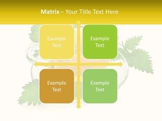 A Cup Of Green Tea With Leaves On A Saucer PowerPoint Template