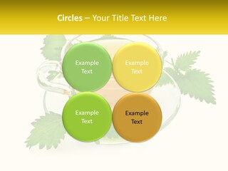 A Cup Of Green Tea With Leaves On A Saucer PowerPoint Template
