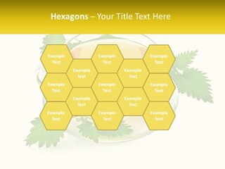 A Cup Of Green Tea With Leaves On A Saucer PowerPoint Template