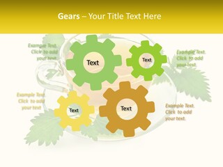 A Cup Of Green Tea With Leaves On A Saucer PowerPoint Template