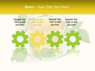 A Cup Of Green Tea With Leaves On A Saucer PowerPoint Template