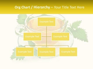 A Cup Of Green Tea With Leaves On A Saucer PowerPoint Template