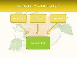 A Cup Of Green Tea With Leaves On A Saucer PowerPoint Template