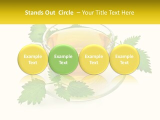 A Cup Of Green Tea With Leaves On A Saucer PowerPoint Template
