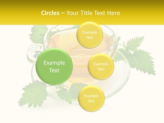 A Cup Of Green Tea With Leaves On A Saucer PowerPoint Template