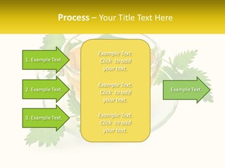 A Cup Of Green Tea With Leaves On A Saucer PowerPoint Template