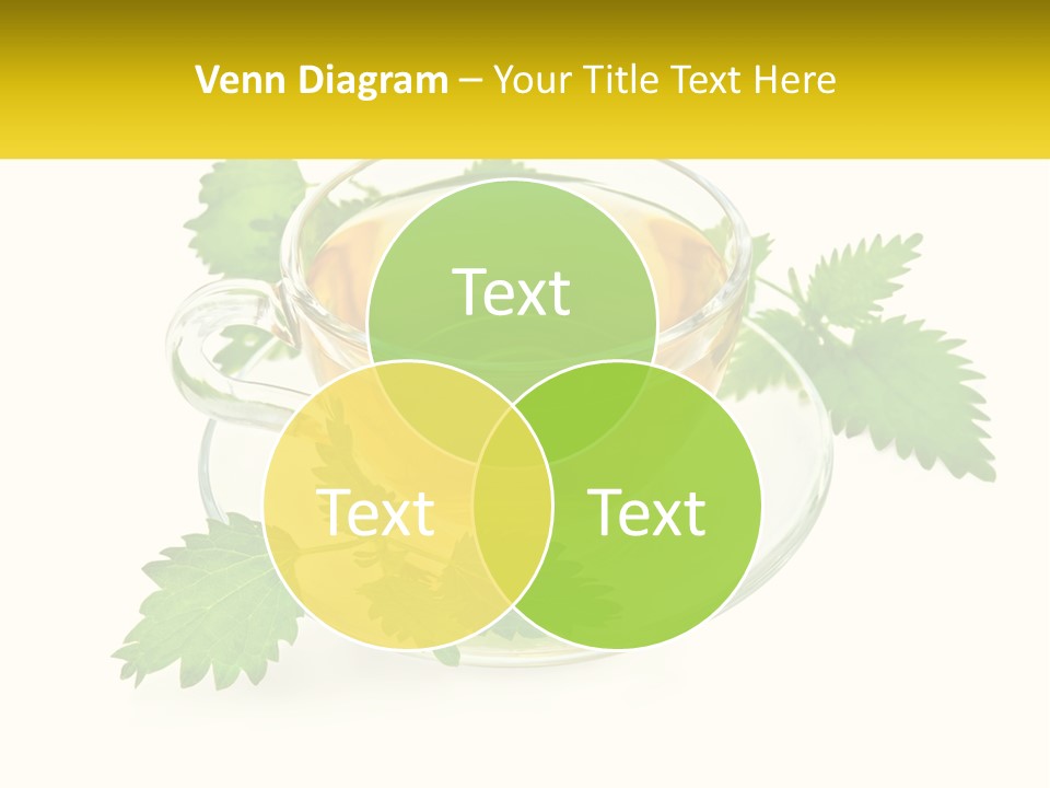 A Cup Of Green Tea With Leaves On A Saucer PowerPoint Template