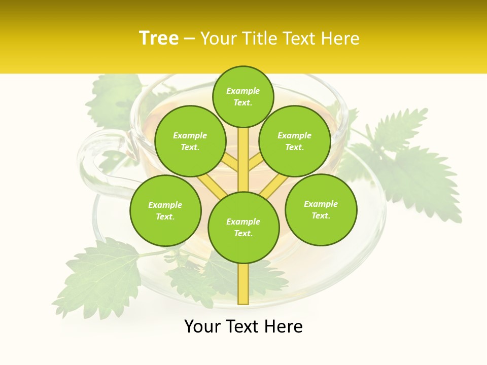 A Cup Of Green Tea With Leaves On A Saucer PowerPoint Template
