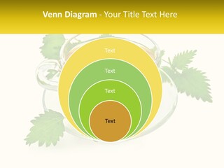 A Cup Of Green Tea With Leaves On A Saucer PowerPoint Template