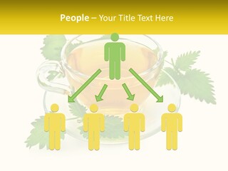 A Cup Of Green Tea With Leaves On A Saucer PowerPoint Template