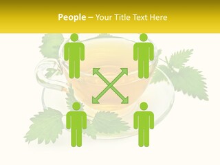 A Cup Of Green Tea With Leaves On A Saucer PowerPoint Template