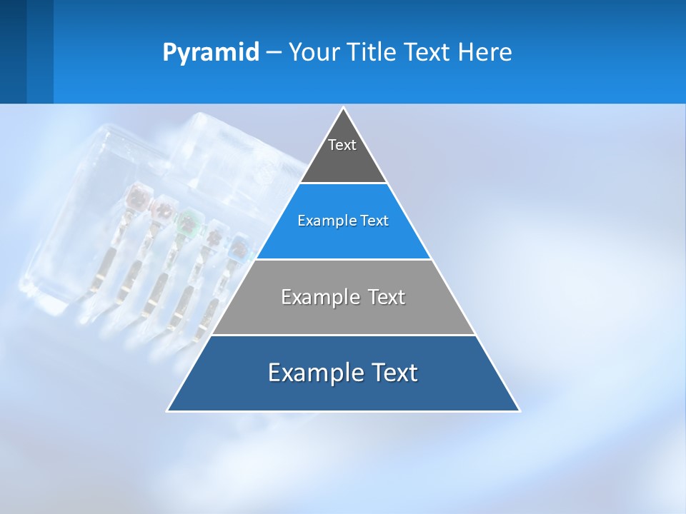 A Group Of Toothbrushes In A Plastic Case On A Blue Background PowerPoint Template