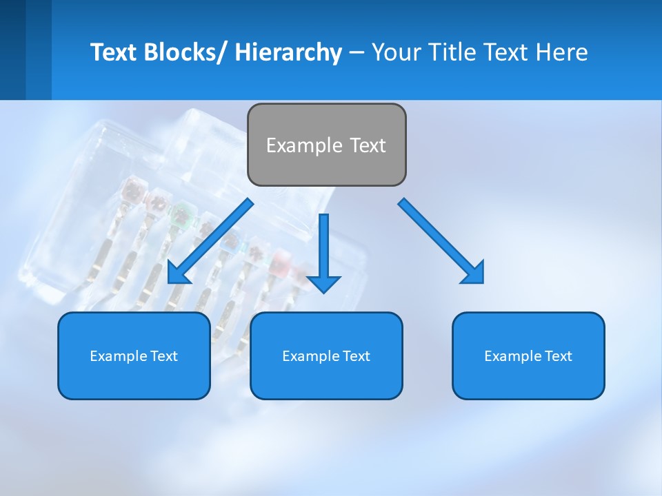 A Group Of Toothbrushes In A Plastic Case On A Blue Background PowerPoint Template