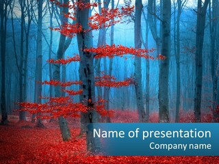 A Blue Forest With Red Leaves On The Ground PowerPoint Template