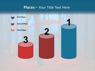 A Blue Forest With Red Leaves On The Ground PowerPoint Template